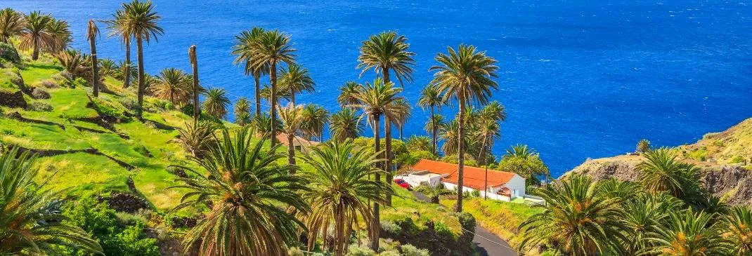 Strasse durch palmengesäumte Küstenlandschaften auf La Gomera.